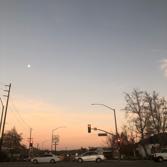 Meet your Posher, Shayna - Picture 1 of 1